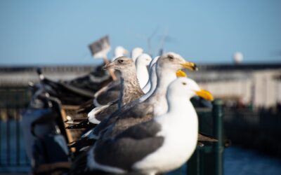 Warum der Perspektivenwechsel Führung erfolgreicher macht